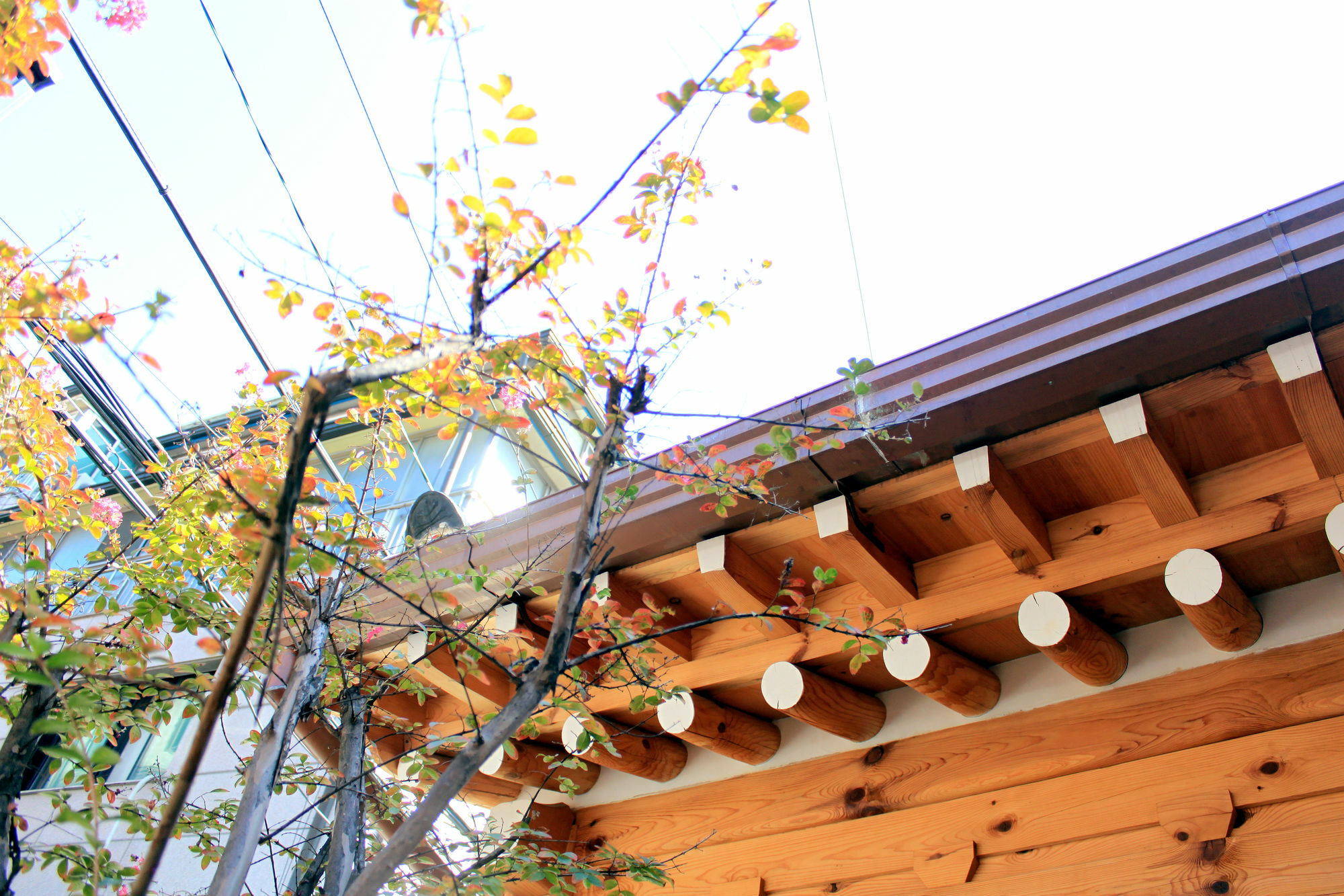 Hanok 24 Guesthouse Gyeongbokgung Сеул Екстер'єр фото